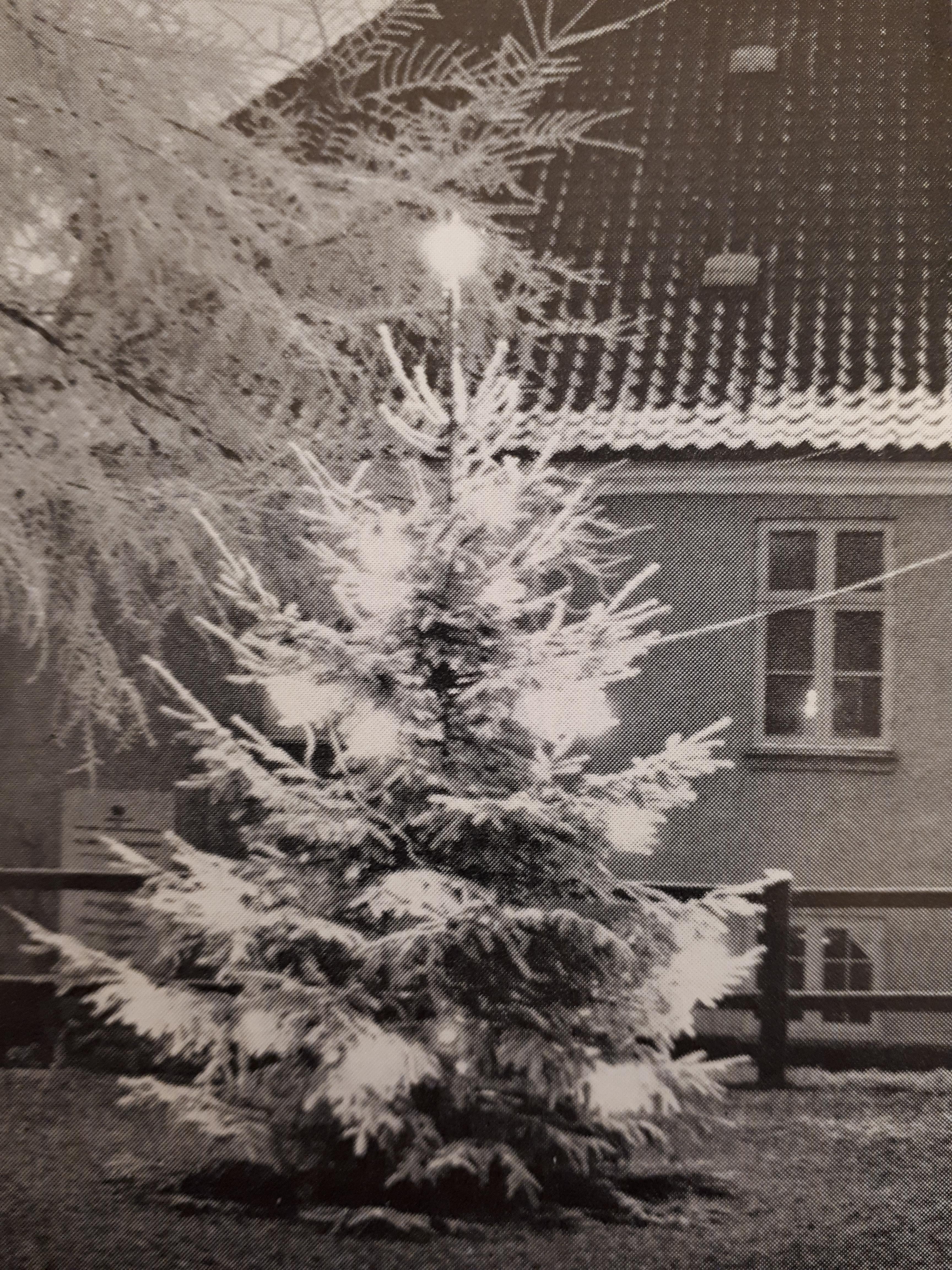 Juletræ på Grønnegades Kaserne fra PBS